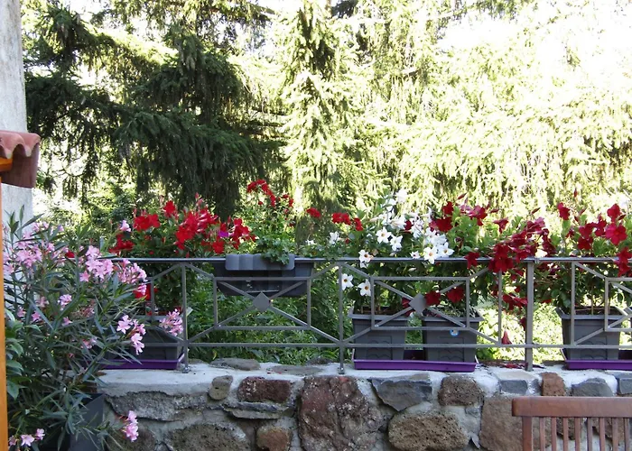 Σπίτι διακοπών Grande Maison Au Coeur D'un Village Historique Avec Terrasse Et Wifi Inclus - Fr-1-582-308